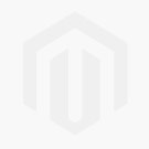 Oticon Ruby 1 miniRITE T
